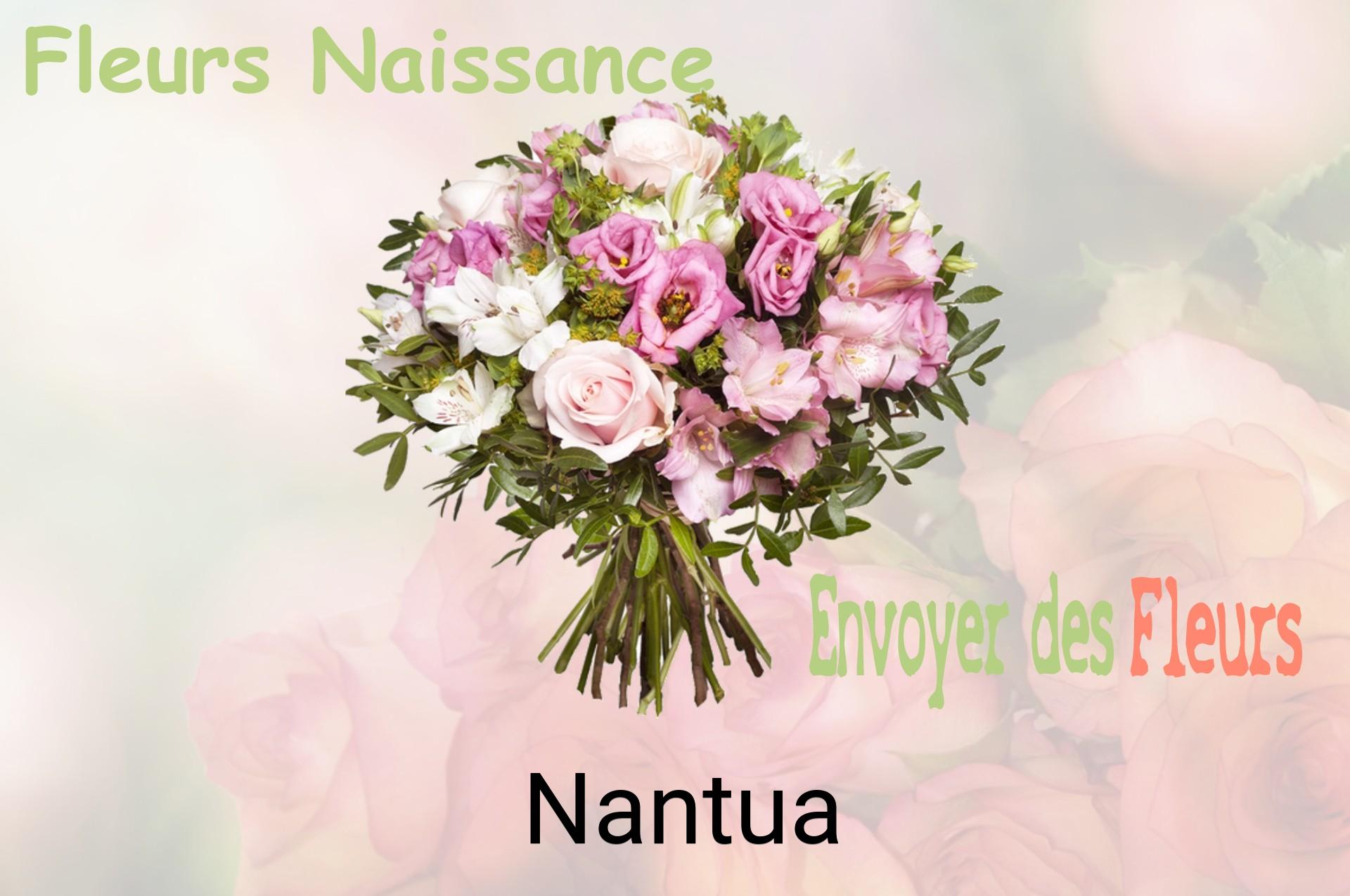 Bouquet de fleurs de naissance livré à Nantua